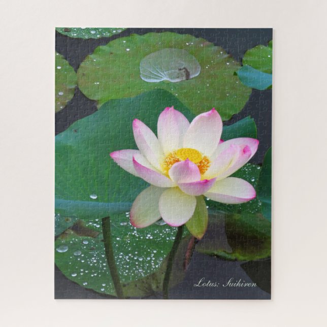 Lotus "Suihiren" [Jigsaw puzzle: 520P] ジグソーパズル Jigsaw Puzzle (Vertical)