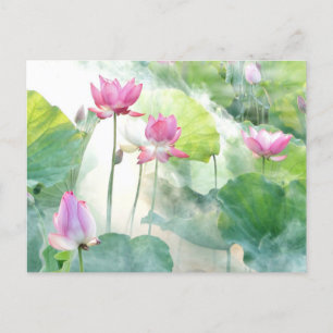 Lotus Summer, ethereal photograph, Postcard