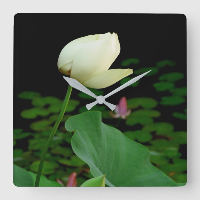 Lotus Water Lily Bud Square Wall Clock (Front)