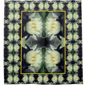 Lotus Water Lily Flower Abstract 