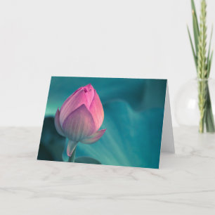 Lotus Water Lily Flower Card