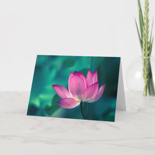 Lotus Water Lily Flower Card (Front)