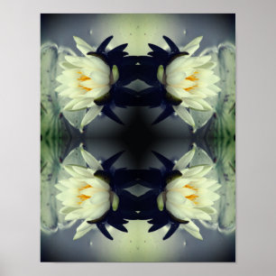 Lotus Water Lily Flower Mirror Abstract Art   Poster