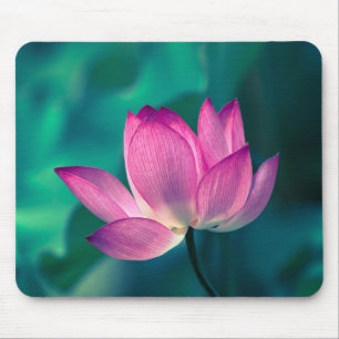 Lotus Water Lily Flower Mouse Pad