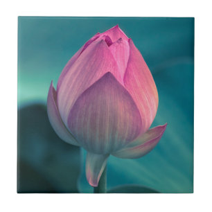 Lotus Water Lily Flower Tile