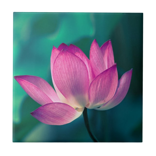 Lotus Water Lily Flower Tile (Front)