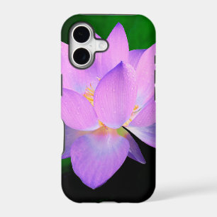 lotus water romantic date bridal peace hope love