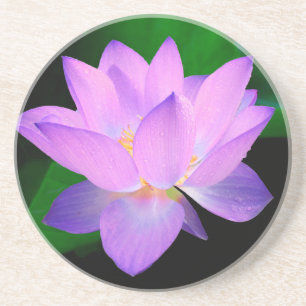 lotus water romantic date bridal peace hope love coaster