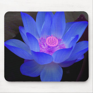 lotus,waterlily mouse pad