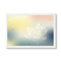 Lotus, Yellow scheme background