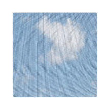 Louange au Seigneur Photo