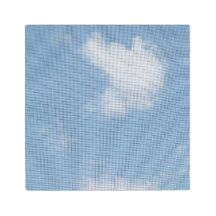 Louange au Seigneur Photo