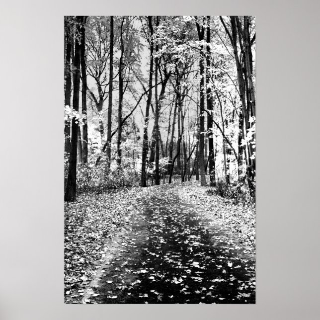 Loud Whisper Poster (Front)