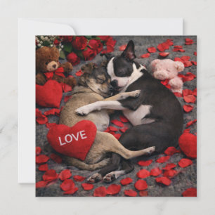 Louie & Luna Wish You a Happy Valentine's Day 6 Card