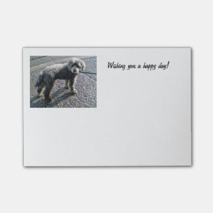 Louis the Dog Post-it Notes