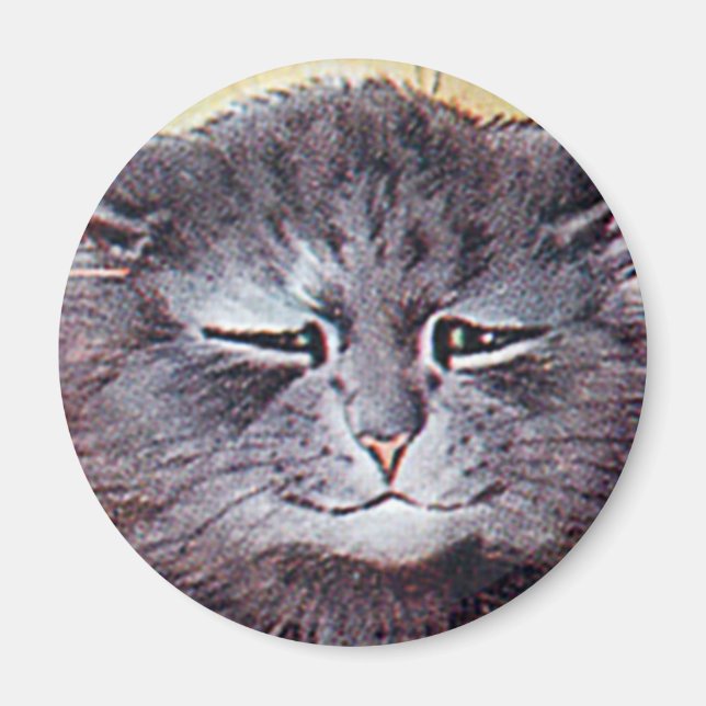 Louis Wain cat Magnet (Front)