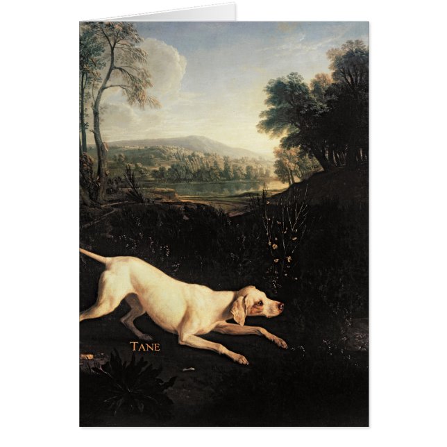 Louis XIV's Dog, Tane (Front)