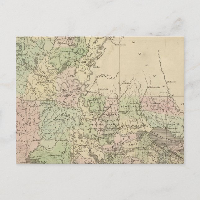 Louisiana 3 postcard (Front)