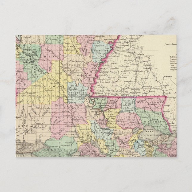 Louisiana 8 postcard (Front)
