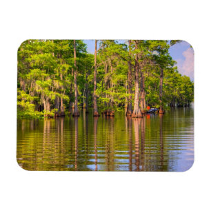 Louisiana Bayou Photo Magnet