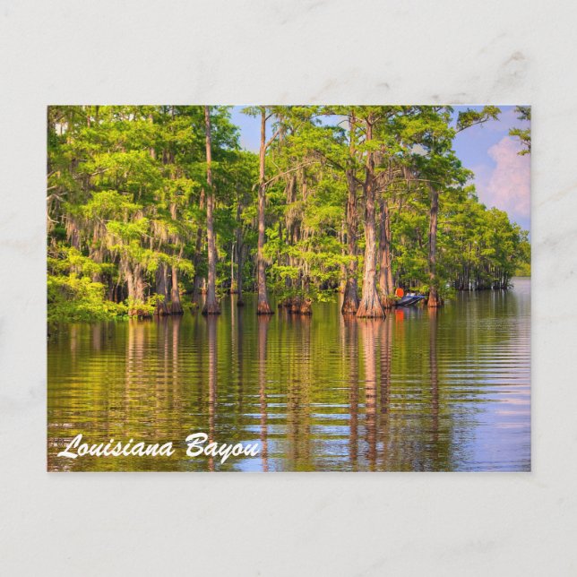Louisiana Bayou Postcard (Front)