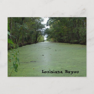 Louisiana Bayou Postcard