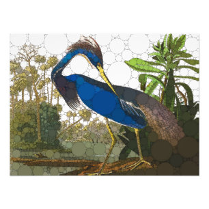 Louisiana Blue Heron by After John James Audubon Photo Print