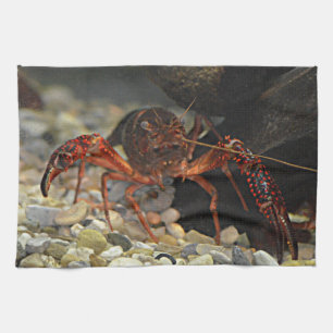 Louisiana Crawfish Kitchen Towel