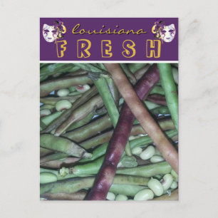 Louisiana Fresh Purple Hull Peas Travel Postcard