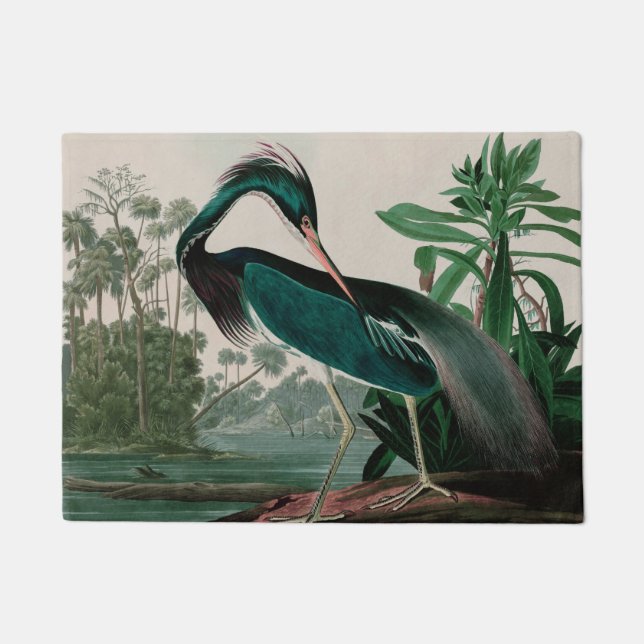 Louisiana Heron Birds of America Audubon Print Doormat (Front)