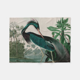 Louisiana Heron Birds of America Audubon Print Fleece Blanket