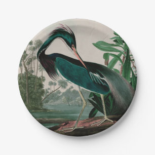 Louisiana Heron Birds of America Audubon Print Paper Plate