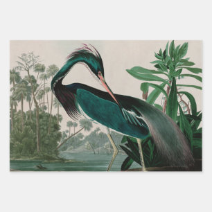 Louisiana Heron Birds of America Audubon Print Wrapping Paper Sheet