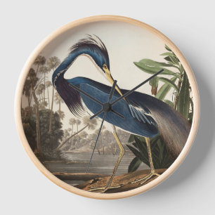Louisiana Heron by Audobon Wall Clock 