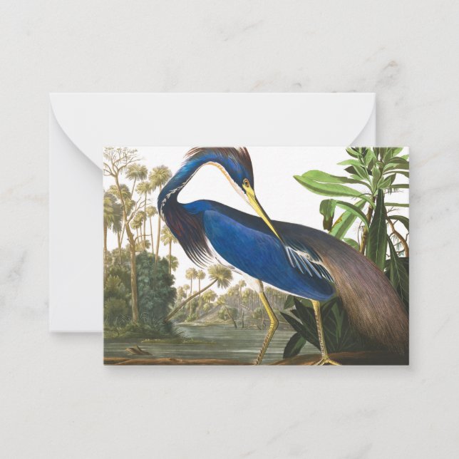 Louisiana Heron by John James Audubon Card (Front)