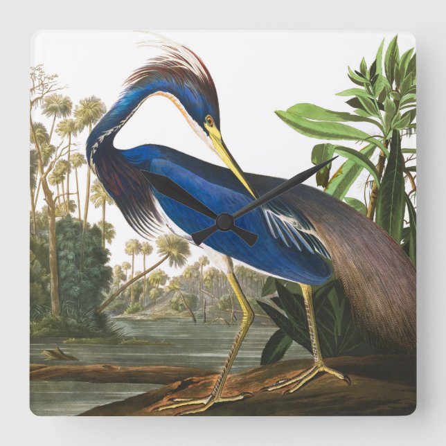 Louisiana Heron by John James Audubon Square Wall Clock (Front)