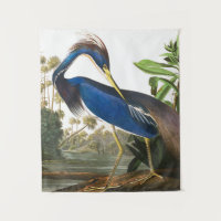 Louisiana Heron by John James Audubon