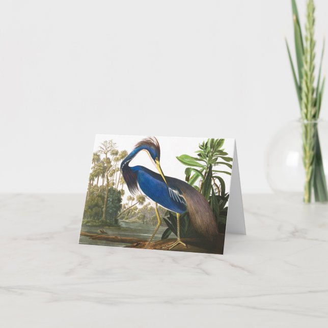 Louisiana Heron by John James Audubon Thank You Card (Front)