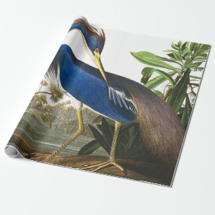 Louisiana Heron by John James Audubon Wrapping Paper
