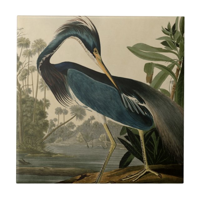 Louisiana Heron Tile (Front)