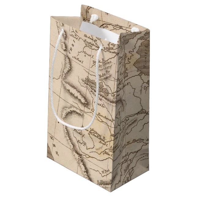 Louisiana Map by Arrowsmith Small Gift Bag (Back Angled)