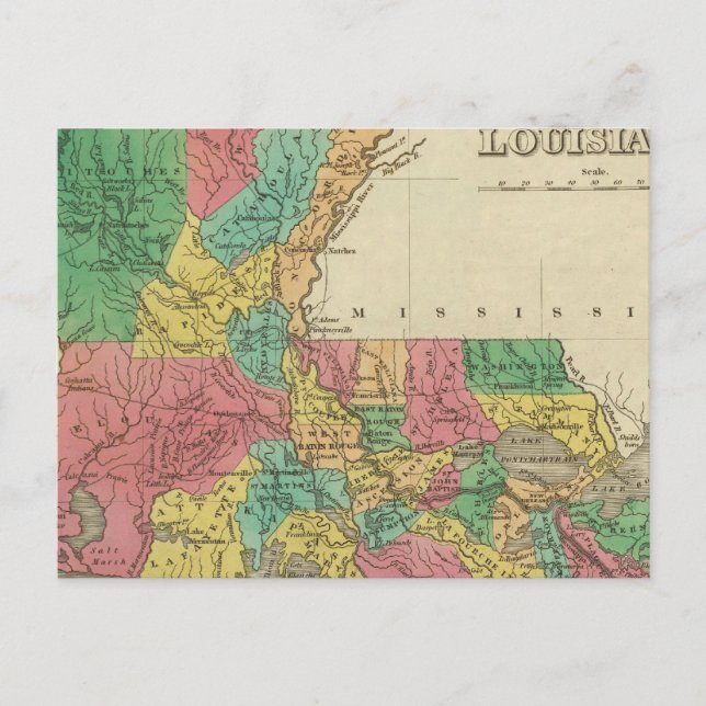 Louisiana Postcard (Front)