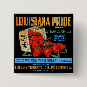 Louisiana Pride Strawberries 2 Inch Square Button