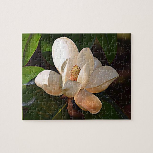 Louisiana Southern Magnolia Jigsaw Puzzle (Horizontal)