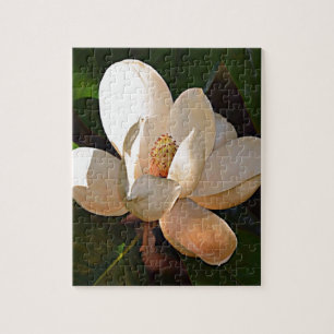 Louisiana Southern Magnolia Jigsaw Puzzle