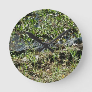 Louisiana Swamp Alligator in Jean Lafitte Close Up Round Clock