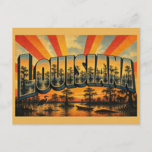 Louisiana Swamps Bayous Spanish Moss Art Postcard