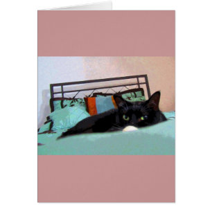 Loundge Lucy Comic Book