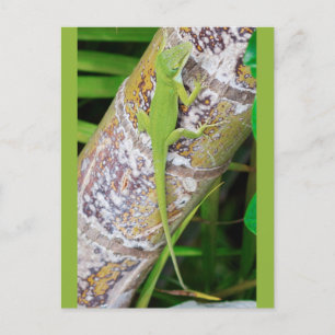 Lounge Lizard Green Gecko Postcard