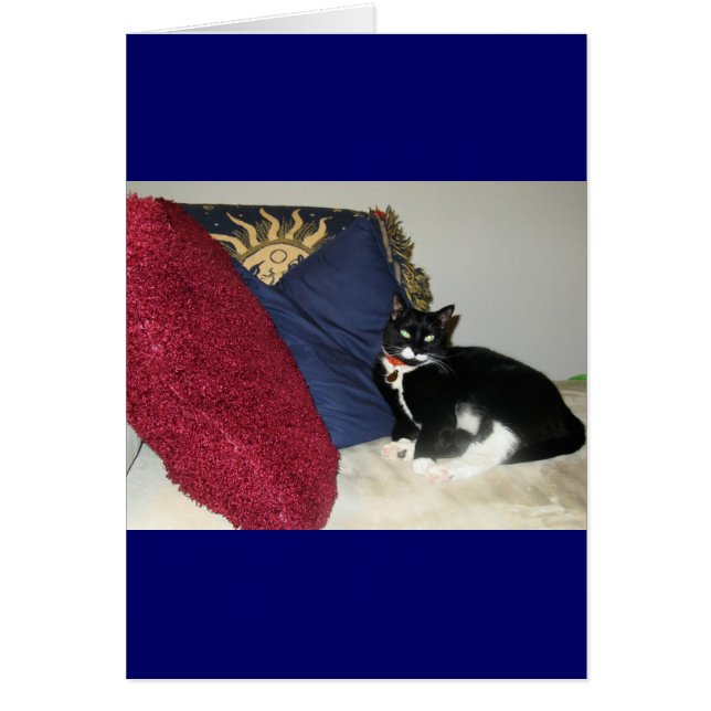 Lounge Lucy (Devant)